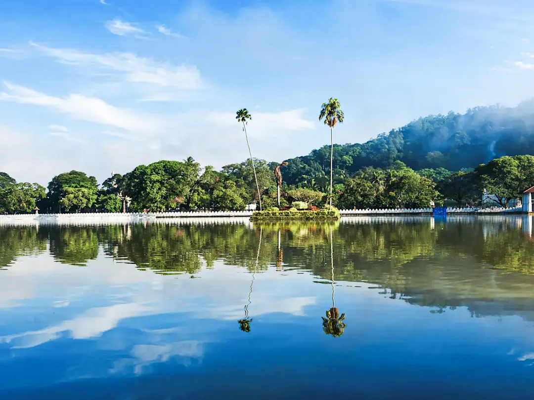 Spiegelung tropischer Landschaft mit Palmen im See. Kandy-See, Kandy, Sri Lanka.