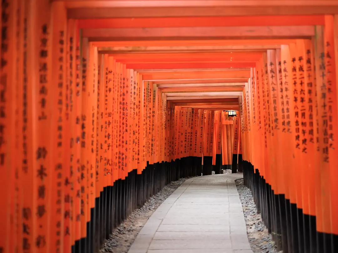 Japan, Kyoto, Fushimi Inari-Taisha Endloser Tunnel aus roten Torii-Toren. Fushimi Inari-Taisha, Kyoto, Japan.