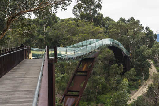 Pont à Kings Park à Perth en Australie