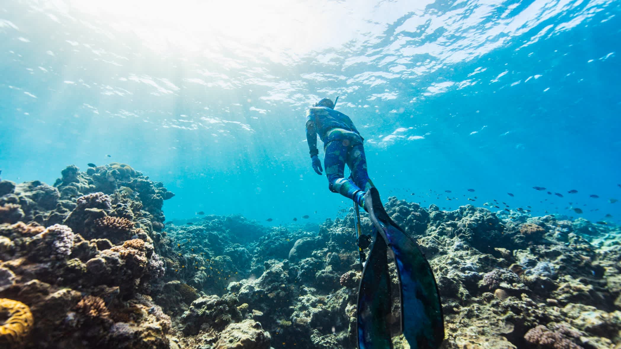 Plongeur au-dessus d'un récif corallien nageant vers la surface