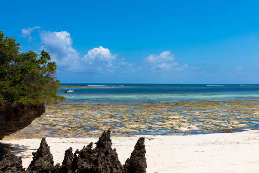Blick auf einen schönen Strand auf der Insel Mombasa in Kenia