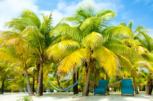 Absolut Empfehlenswert