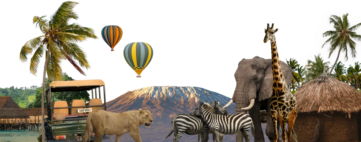 Tanzania collage XS