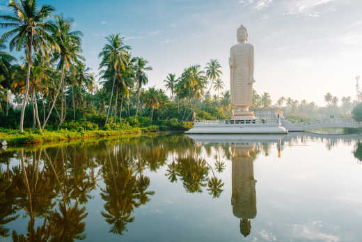 Statue de Bouddah entouré d'un lac et de végétation, à Hikkaduwa, au Sri Lanka