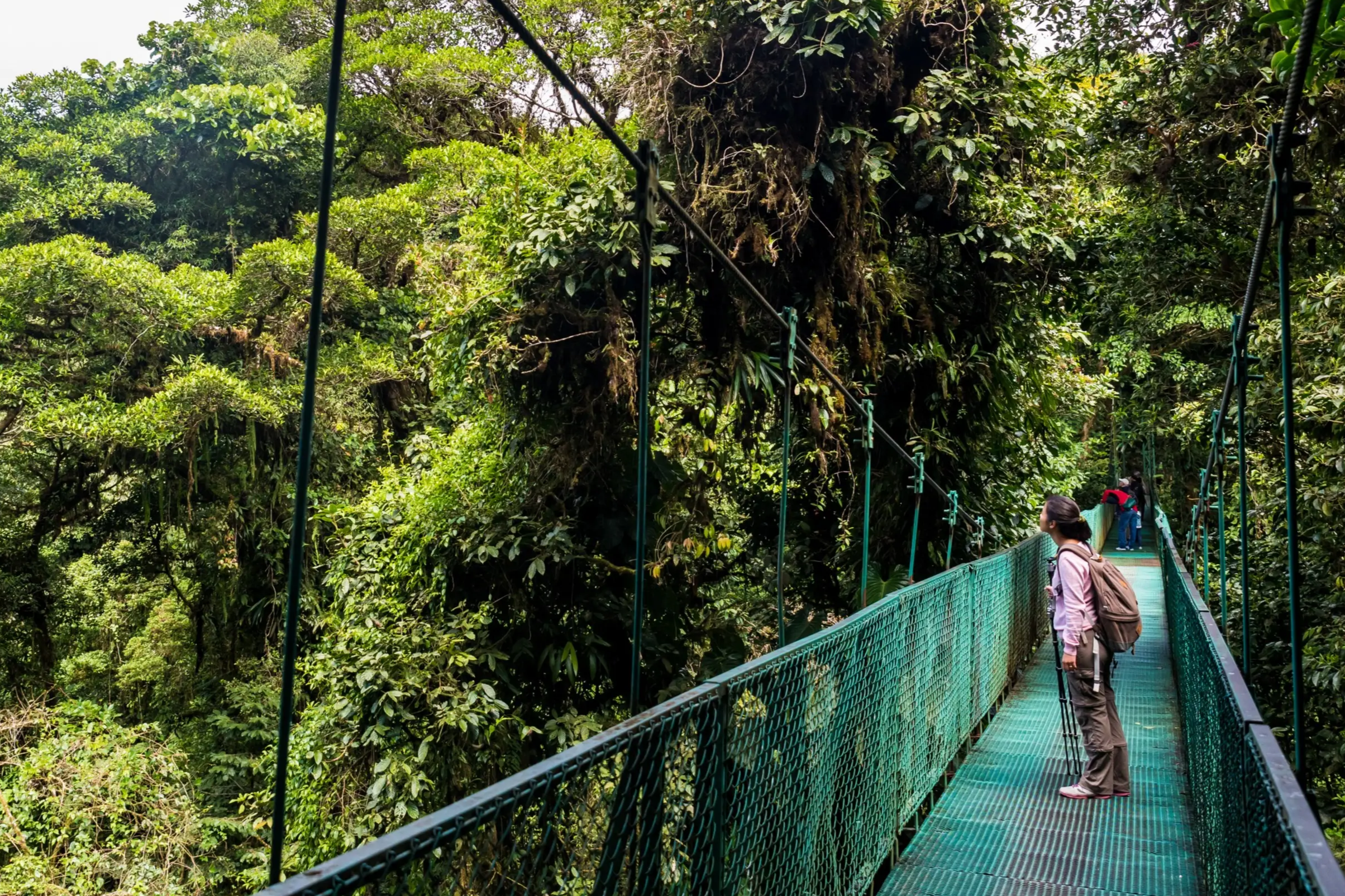 Frau auf einer Hängebrücke im Dschungel von Monteverde, Costa Rica.