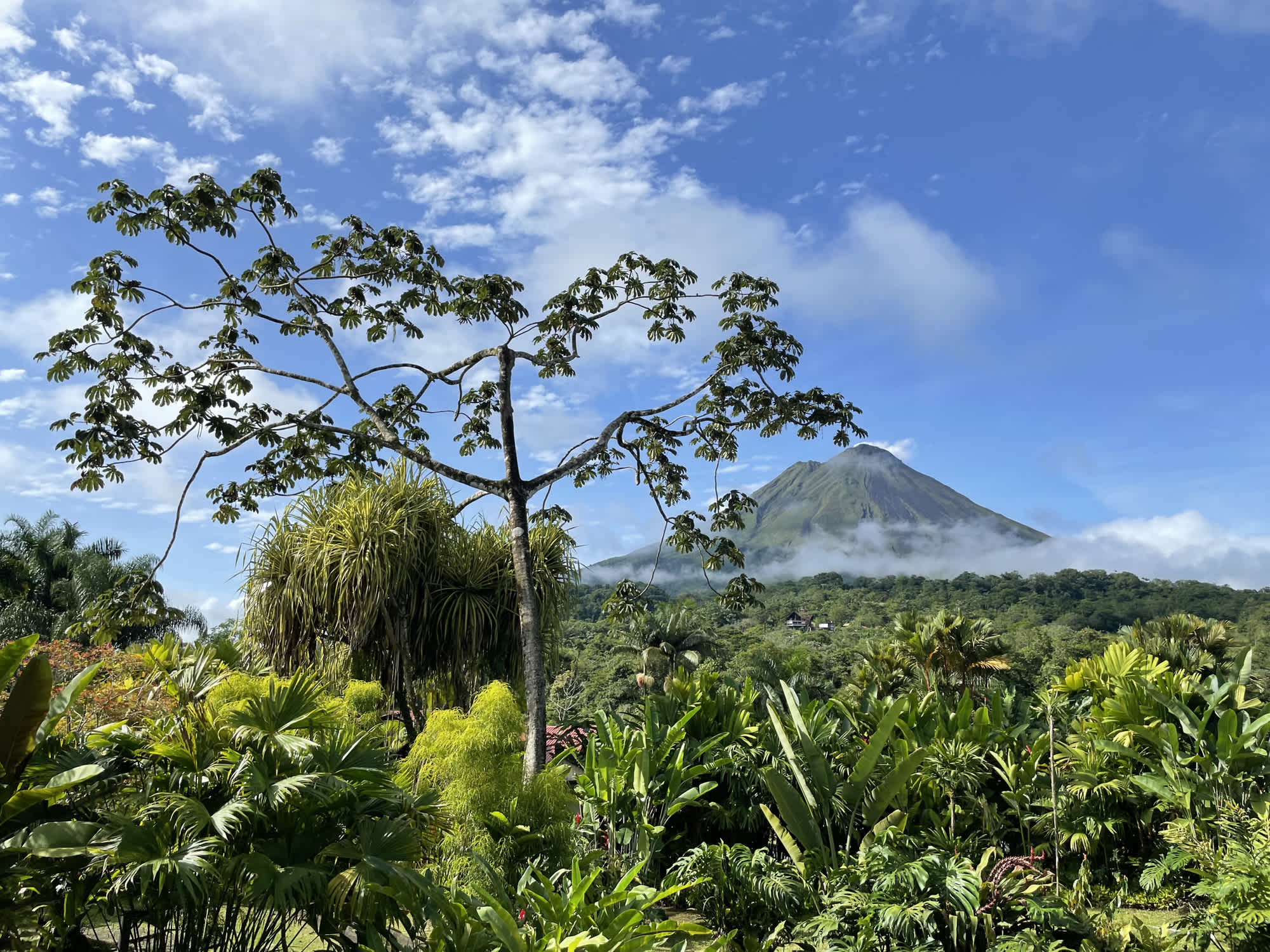 Volcan Arenal vu depuis La Fortuna au Costa Rica