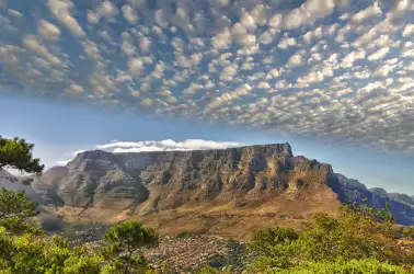Tafelberg-Nationalpark in der Nähe von Kapstadt in Südafrika. 

