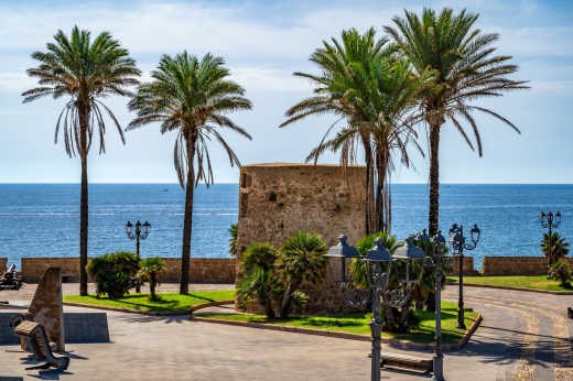 Ein Teil der Stadtmauer von Alghero auf Sardinien mit hohen Palmen und Meer im Hintergrund