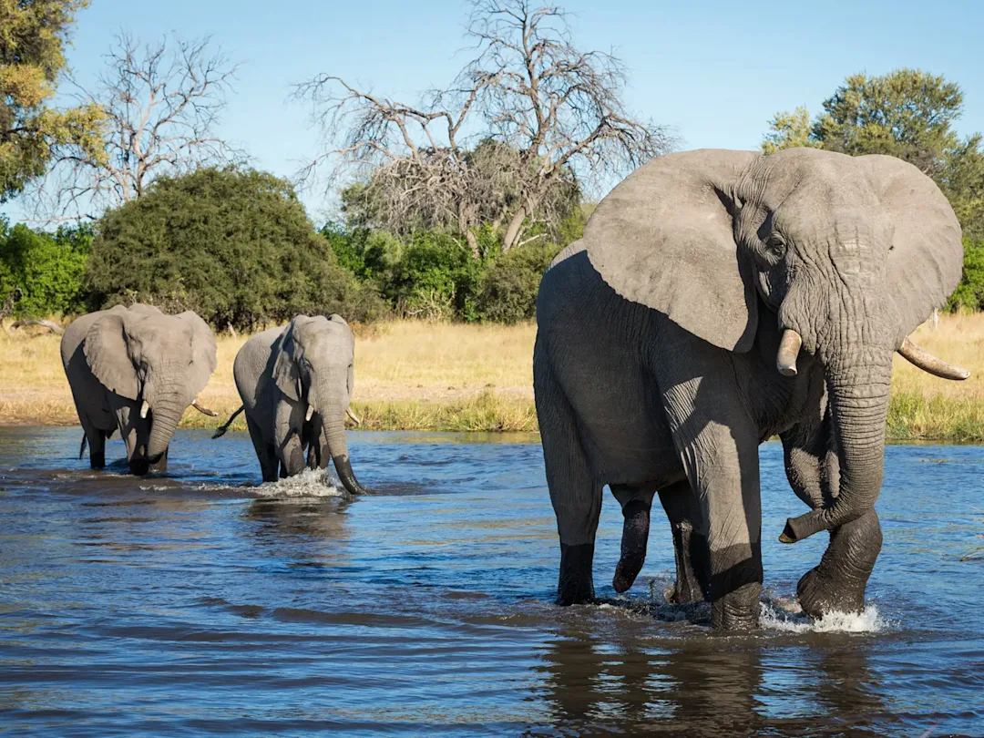 Abenteuer Südafrika & Botswana