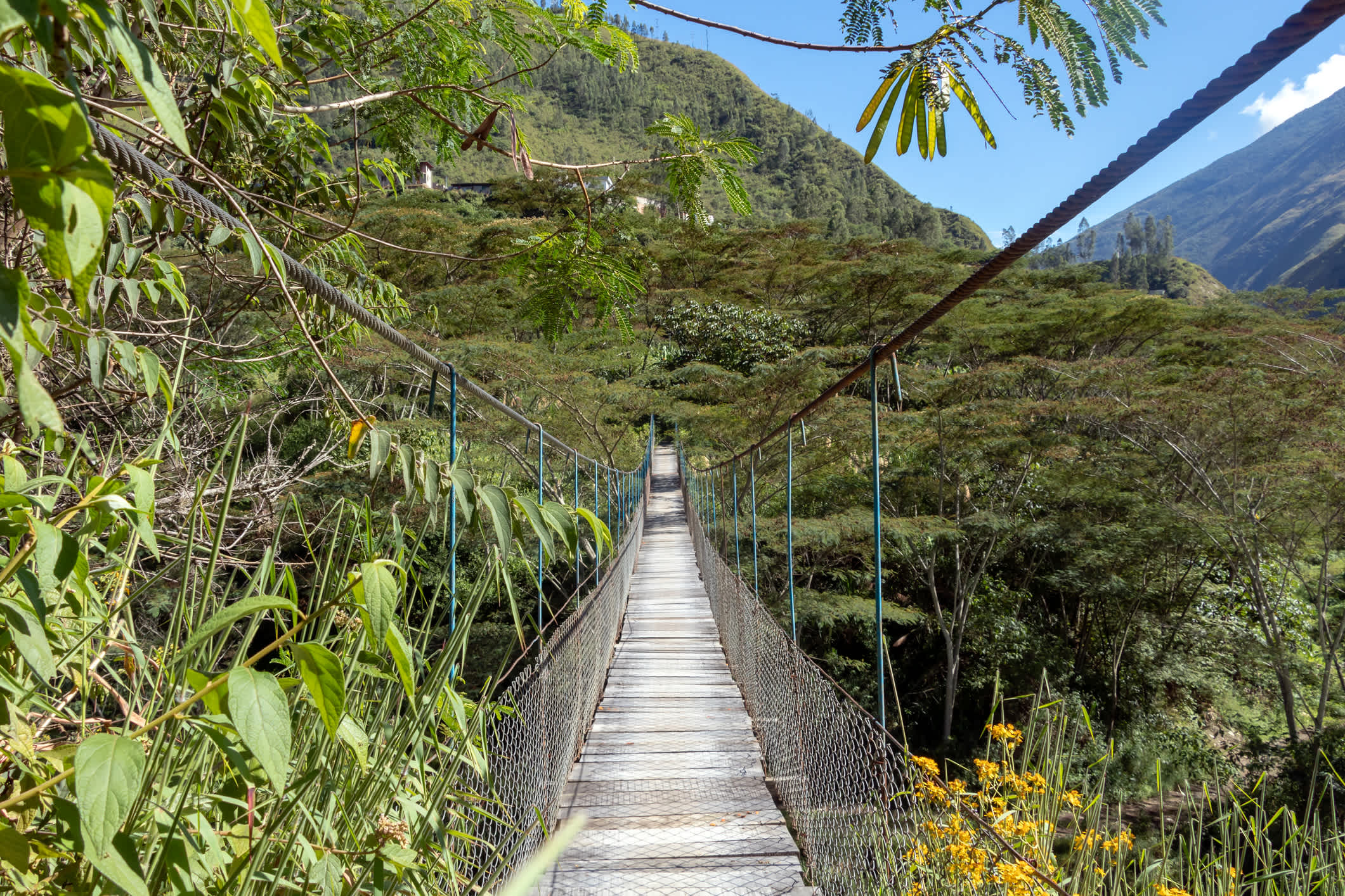 Hängebrücke hängt über dem Fluss Santa Teresa im grünen, üppigen Tal. Trek nach Machu Picchu, Peru