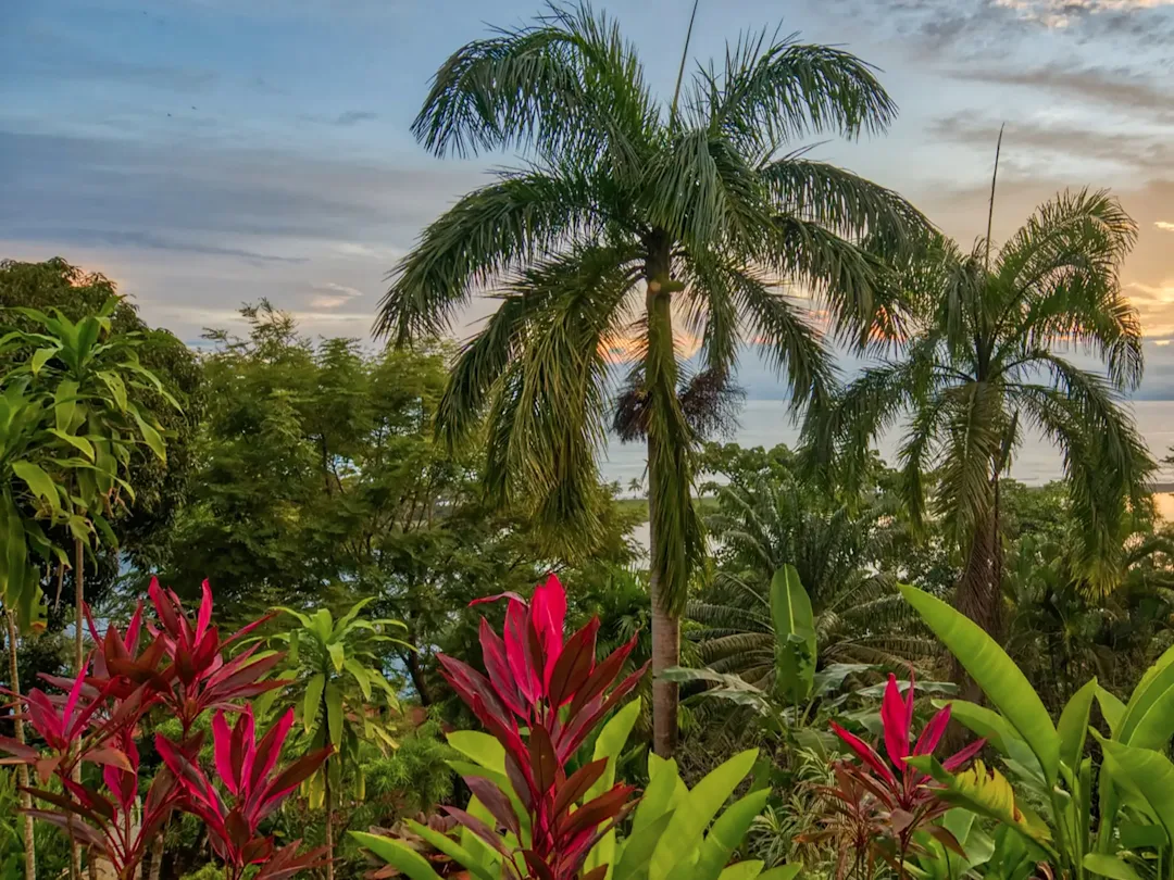 10 jours au Costa Rica