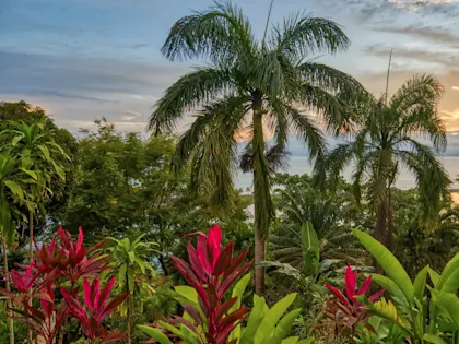 10 jours au Costa Rica - Image 2