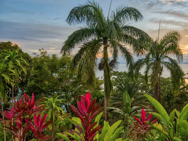 10 jours au Costa Rica