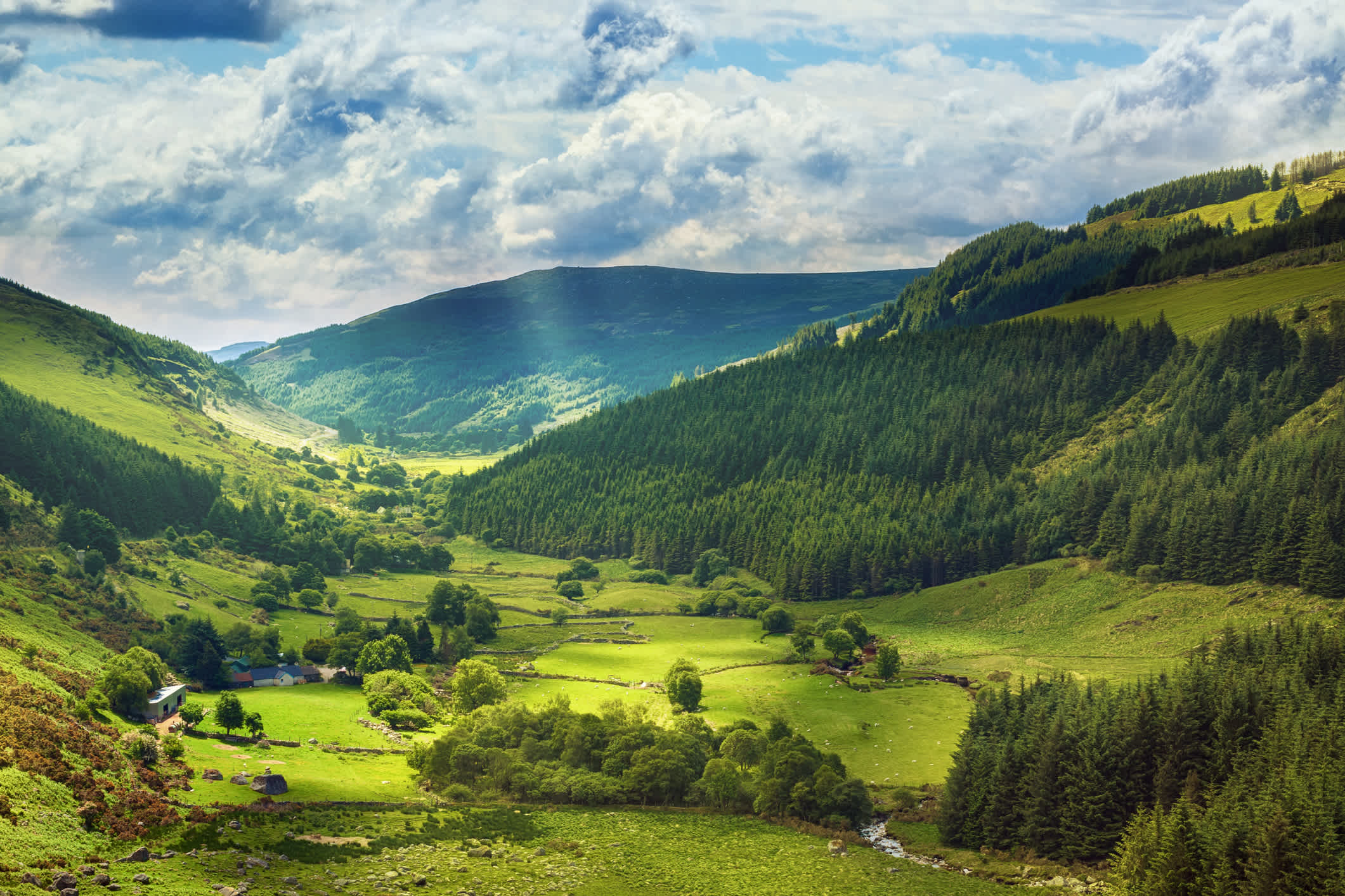 Vue sur la vallée verdoyante de Glenmacnass, Comté de Wicklow, Irlande