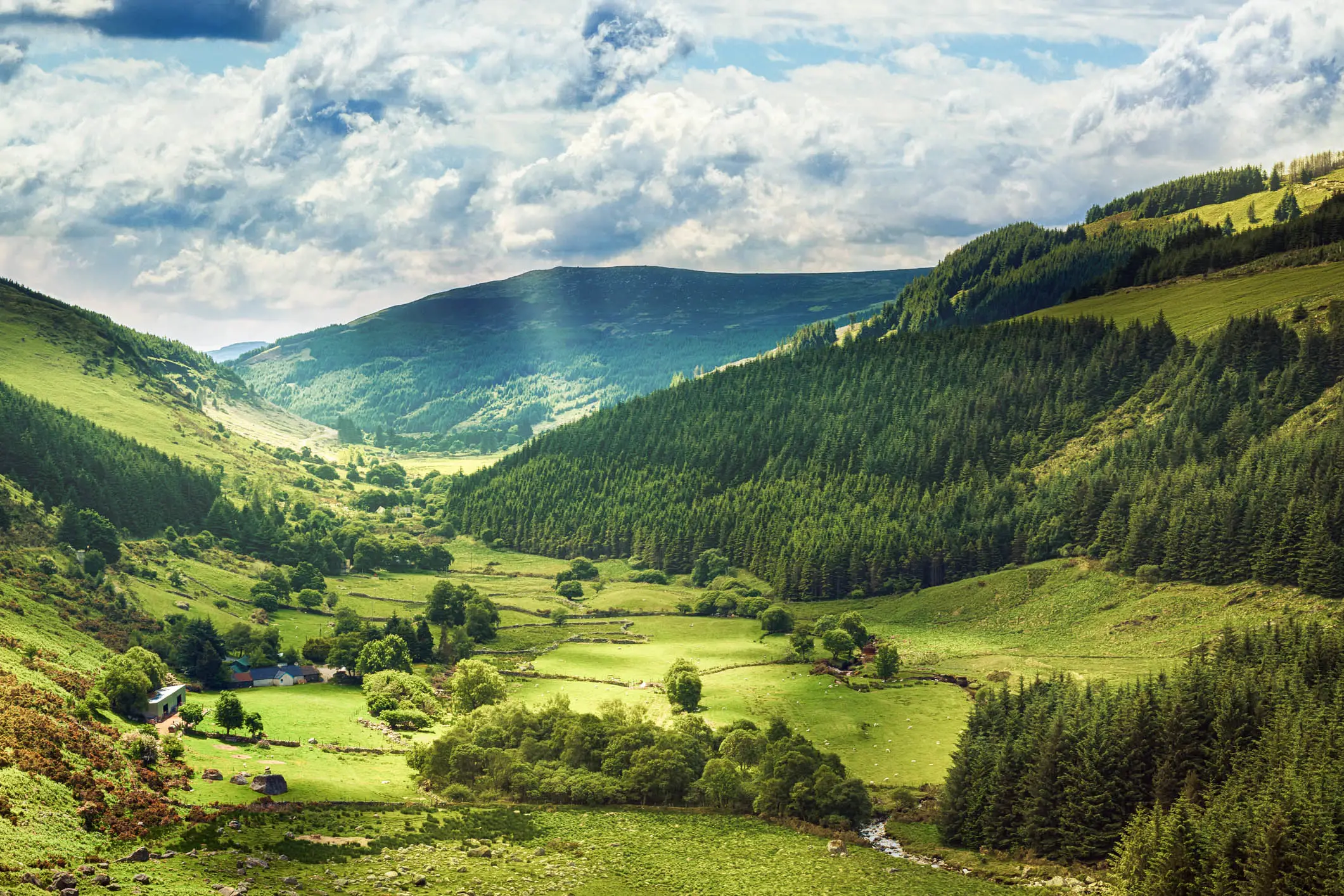 Irlande, Wicklow, vallée de Glenmacnass