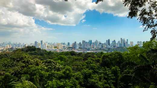 Uitzicht op de skyline van Panama City vanuit een park