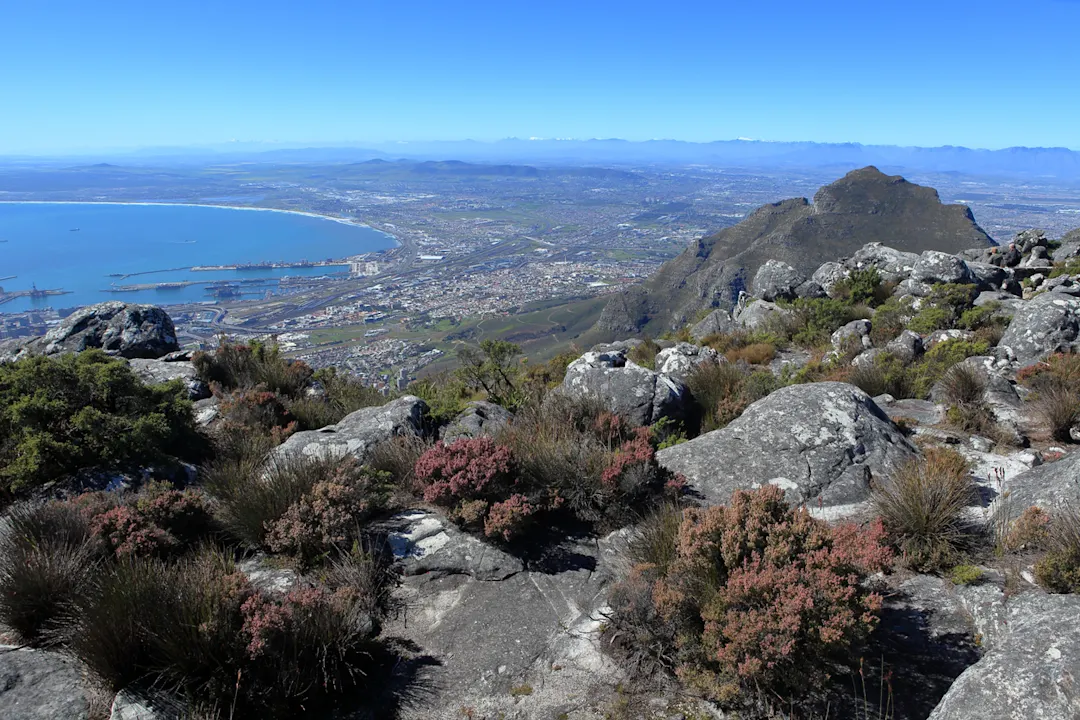 Tafelberg bei Kapstadt in Südafrika Besuchen Sie während Ihrer Kapstadt-Reise den Tafelberg.