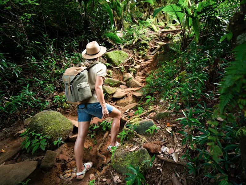 Seychelles Wandern Frau mit Rucksack steigt einen schmalen, steinigen Pfad im dichten Dschungel hinauf.