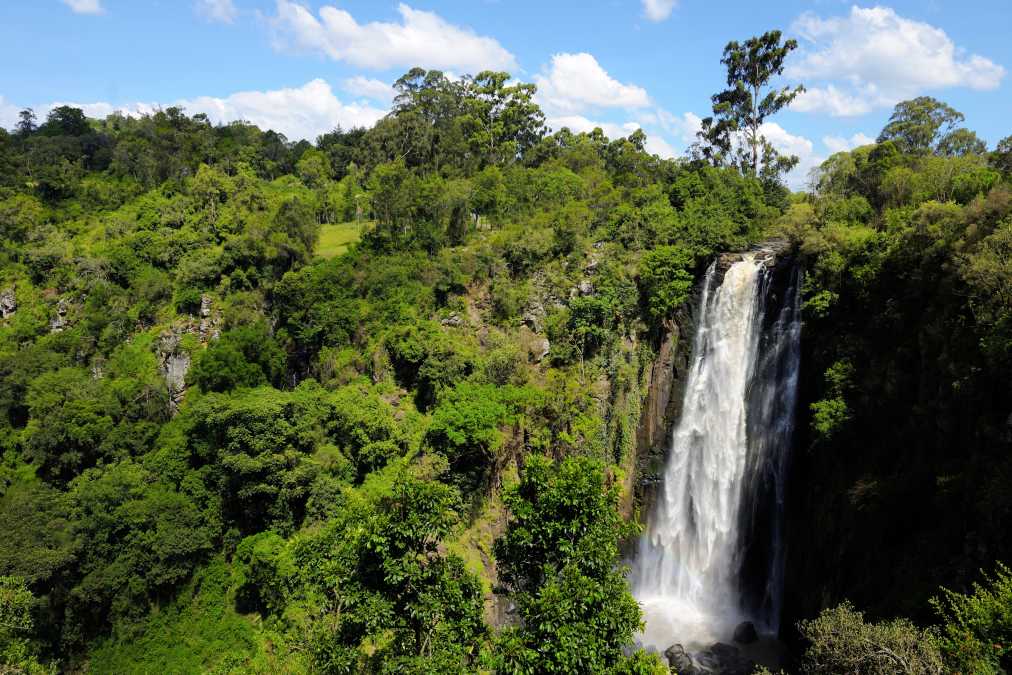 Mächtiger Wasserfall im Grünen