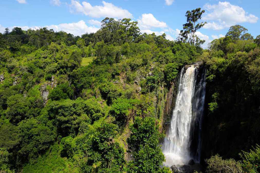 Puissante chute d'eau dans la verdure