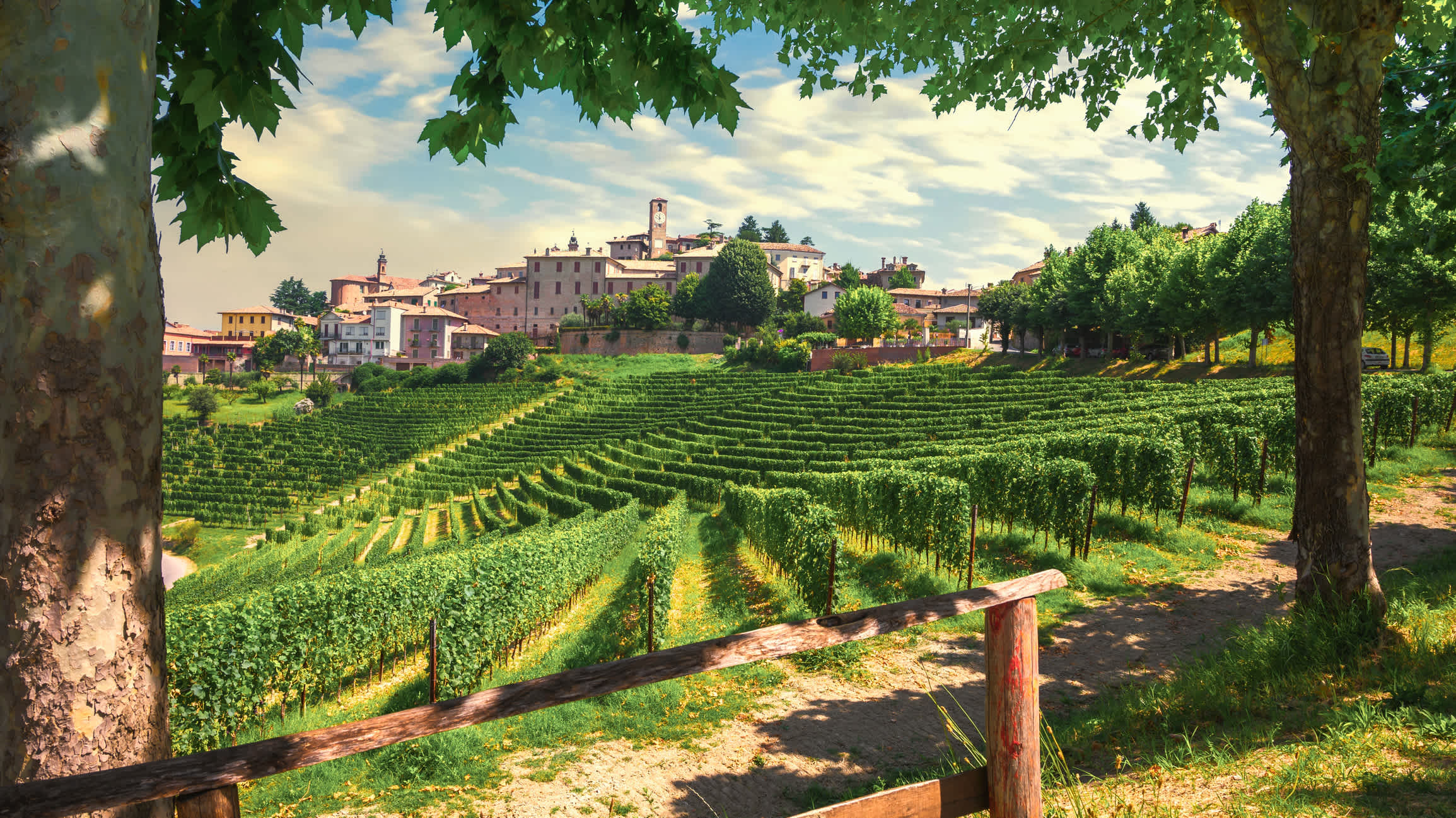 Village de Neive et vignobles Langhe, site Unesco, Piémont, Italie du Nord, Europe