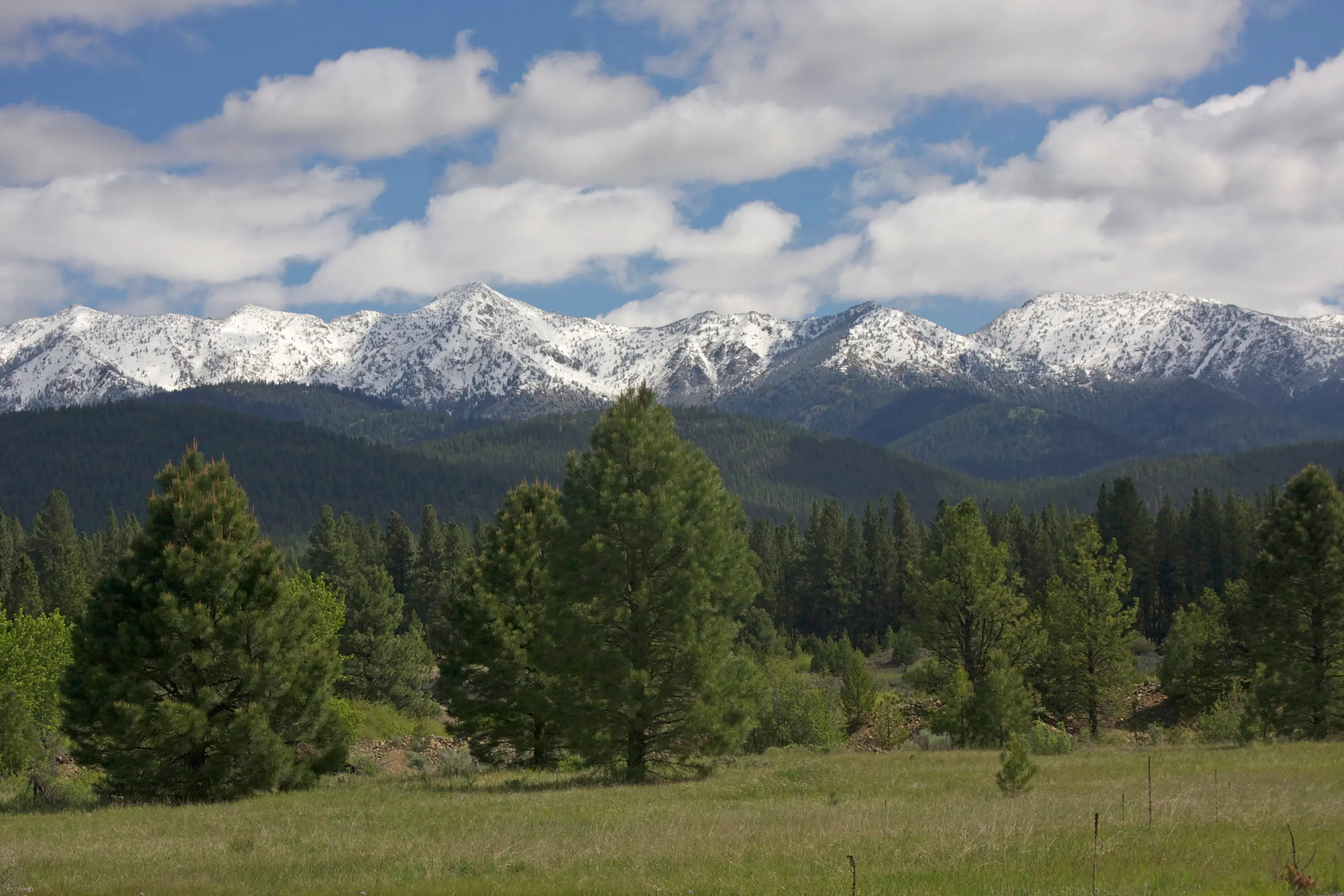 Schneebedeckte Berge mit grünen Wäldern und Wiesen unter teils bewölktem Himmel, Pendleton, Oregon, USA. 