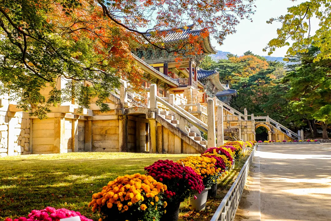 Bulguksa-Tempel im Herbst, Gyeongju, Korea

