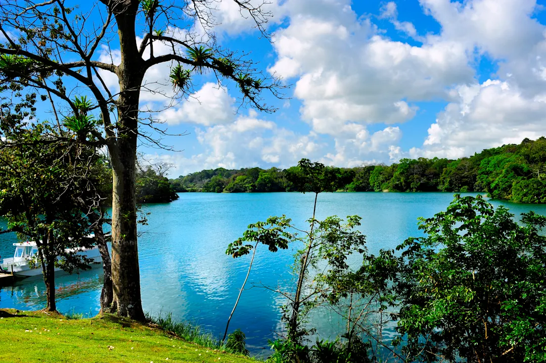 Gatun-See, Panamakanal, Panama See in grüner Natur
