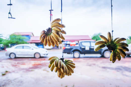 Bananen vor dem Lebensmittelgeschäft in Koh-Kong-Stadt, Kambodscha.