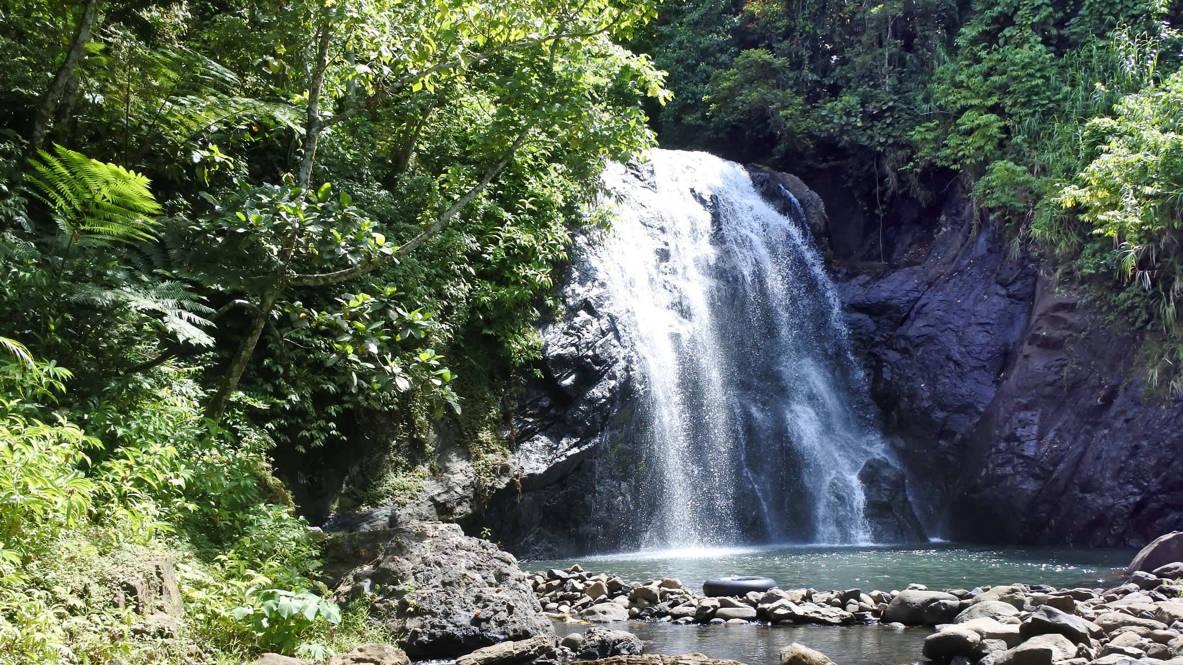 Wasserfall umgeben von Felsen und üppiger Vegetation