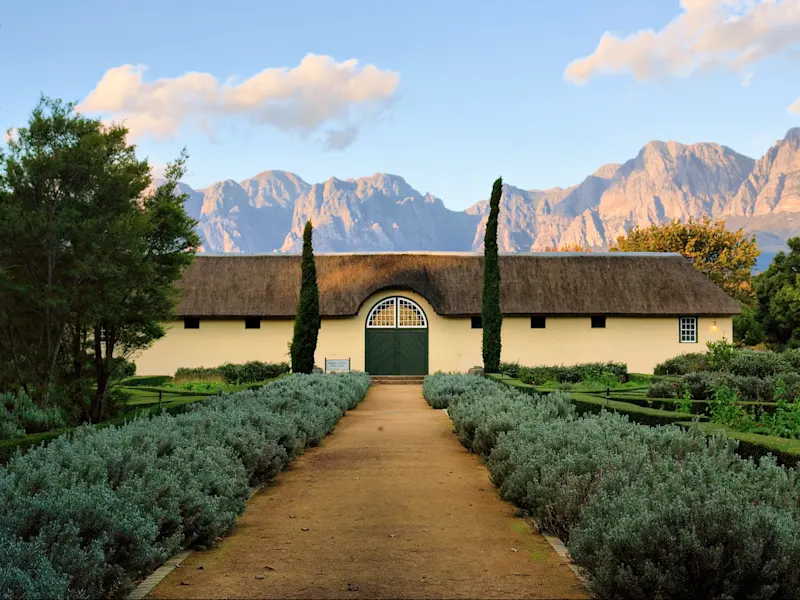 Stellenbosch, Westkap, Südafrika Historisches Gutshaus mit Reetdach vor felsiger Bergkulisse. Stellenbosch, Westkap, Südafrika.