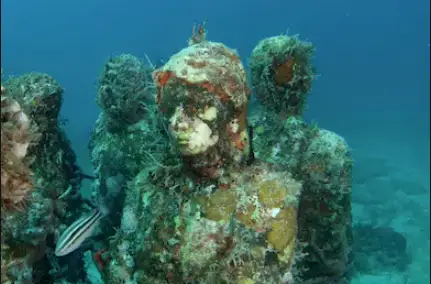 Nordamerika Mexiko Cancun Museo Subacuátio de Arte Museo Subacuátio de Arte beim Cancun Urlaub bestaunen