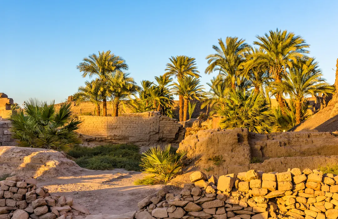 Vegetation im Tempelkomplex von Karnak und Luxor, Ägypten