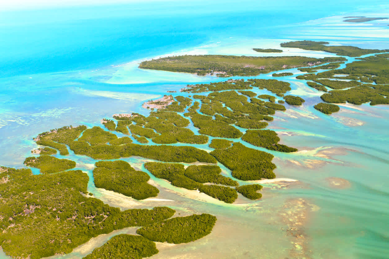 Survolez les célèbres îles des Florida Keys pendant votre road trip en Floride.
