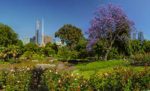 Royal Botanic Gardens in Melbourne, Australien.