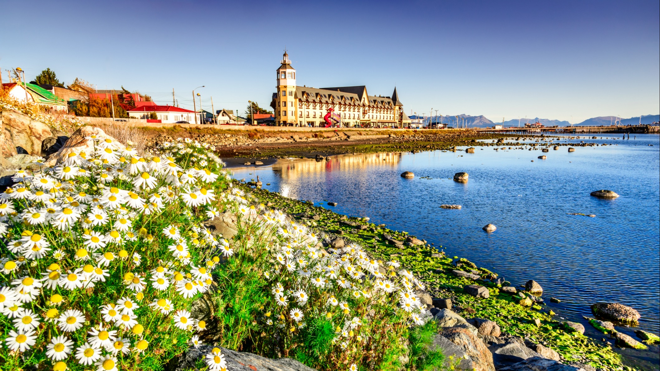 Die Top 3 Sehenswürdigkeiten in Puerto Natales Tourlane