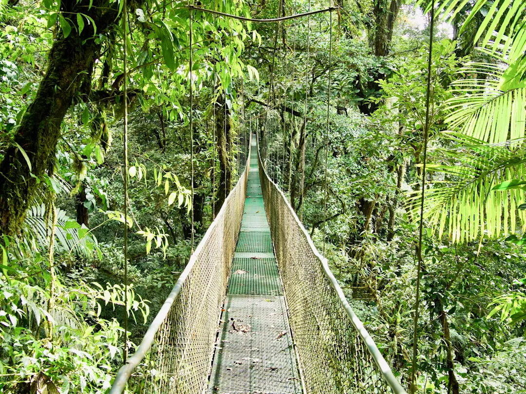 Hängebrücke in der Nähe des Nationalparks Volcán Tenorio