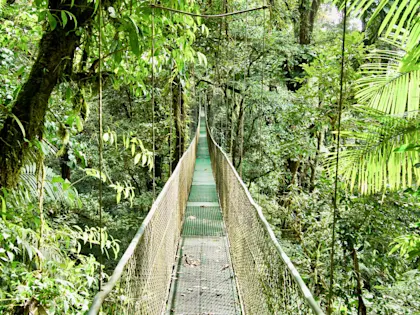 Circuit du Costa Rica en 12 jours - Image 2
