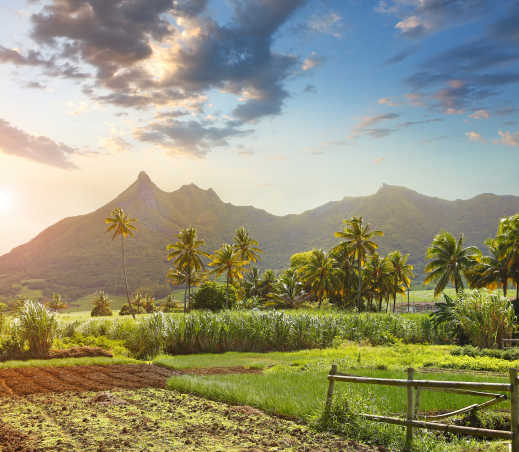 Machen Sie in Ihrem Mauritius Urlaub eine Wandertour in die Berge.