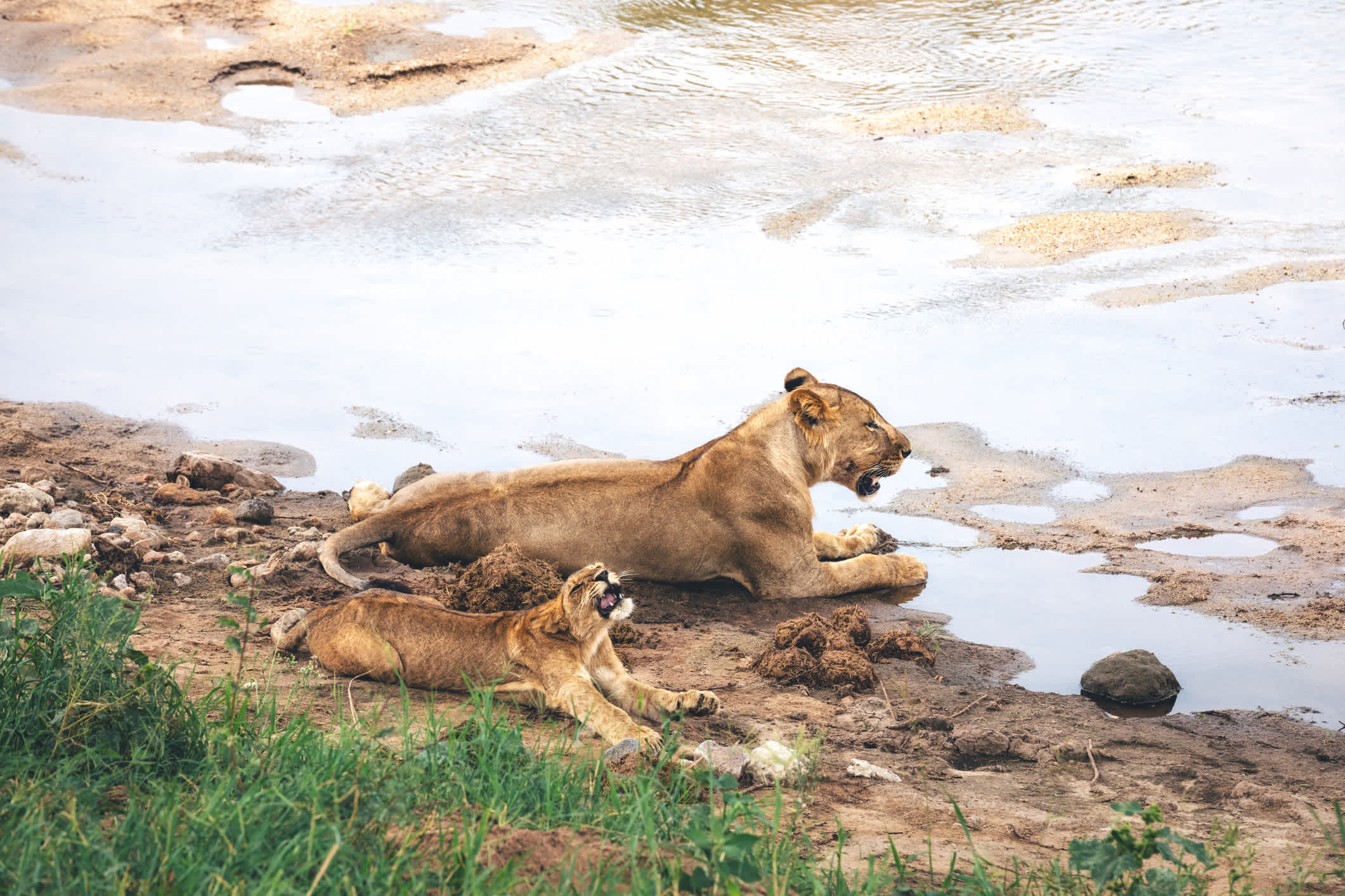 Lake Burunge - ein Muss bei einer Camping Safari Tansania