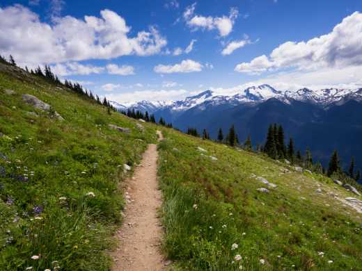 Wanderweg am Blackcomb Mountain, Whistler, British Columbia, Kanada

