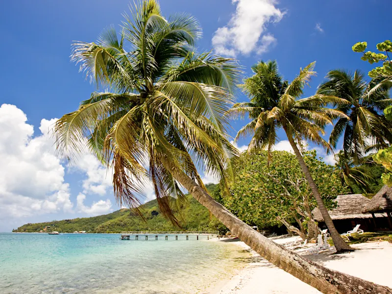 Huahine, Französisch-Polynesien Palmen am weißen Sandstrand mit türkisblauem Meer und einem Steg. Huahine, Französisch-Polynesien.