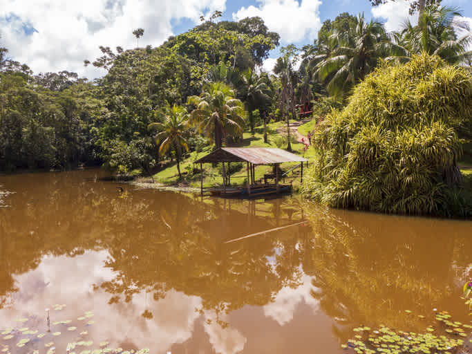 Entdecken Sie während Ihres Aufenthalts in Costa Rica die wunderschönen unberührten Landschaften von Boca Tapada.