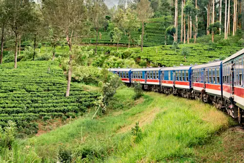 Sri Lanka Reise