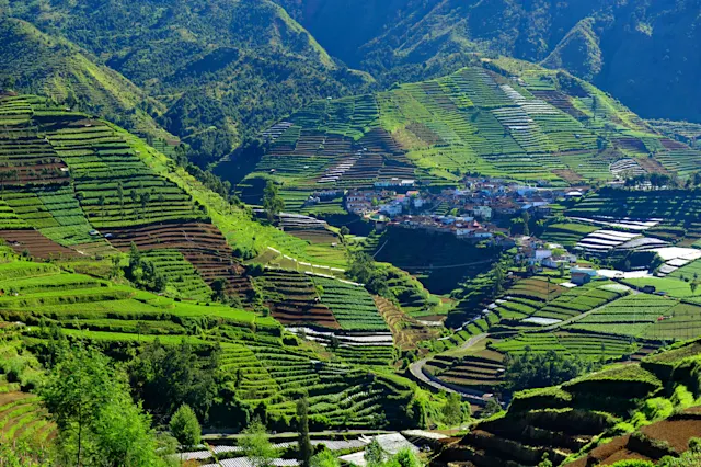 Planifiez votre voyage sur mesure à Java | Tourlane