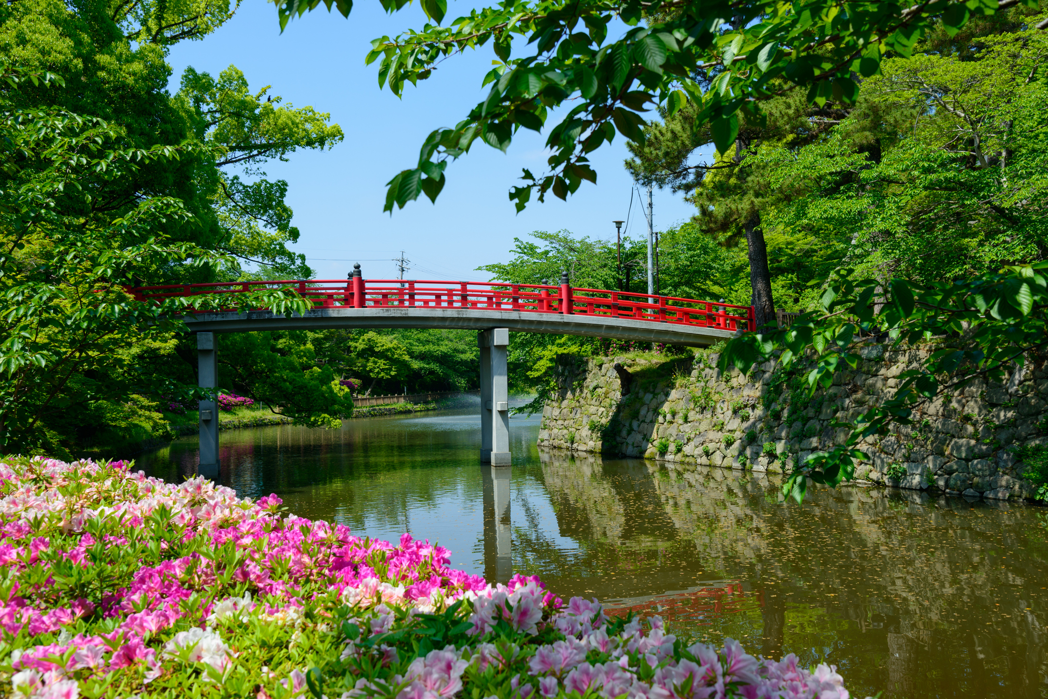 Die Top 5 Sehenswürdigkeiten in Nagoya Tourlane