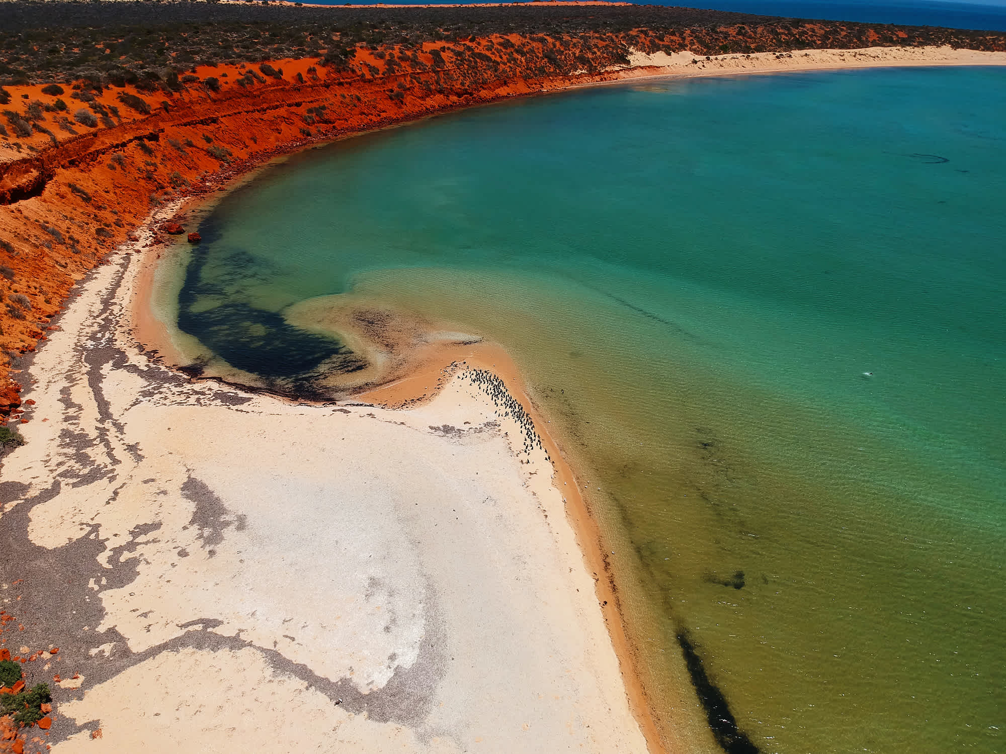 Die Klippen und Gewässer der Shark Bay im Francois-Peron-Nationalpark, Australien.
