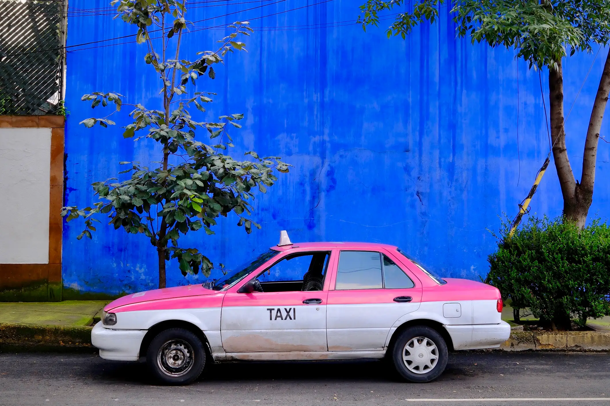 Pink-weißes Taxi, Mexiko-Stadt Pink-weißes CDMX-Taxi vor strahlend blauer Wand (Mexiko-Stadt, CDMX, Mexiko)