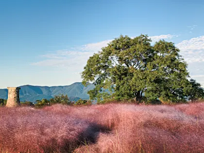 Südkorea Mietwagenrundreise - Image 1