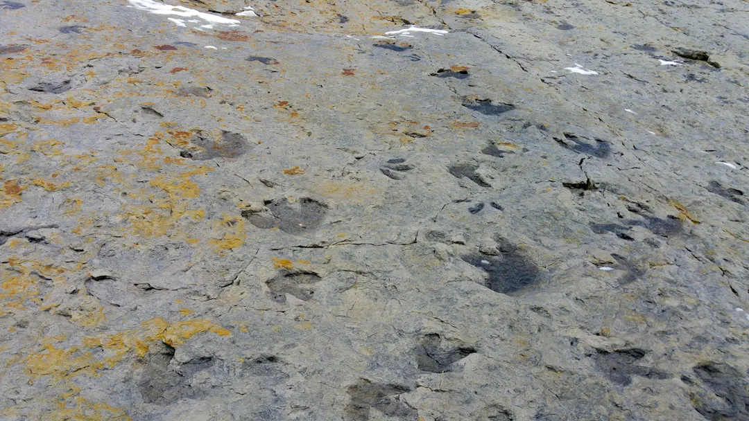 USA Colorado Dinosaur Ridge Trail Traces de dinosaures USA Colorado Dinosaur Ridge Trail Traces de dinosaures